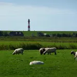 Haus Heverstrom Appartamento Westerhever